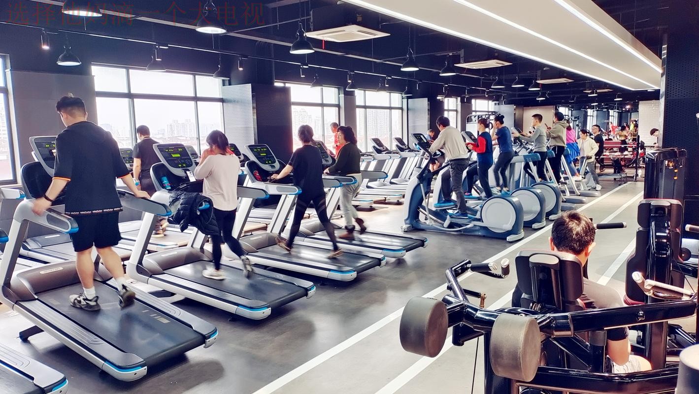 贝博体育最新官网入口详情解读